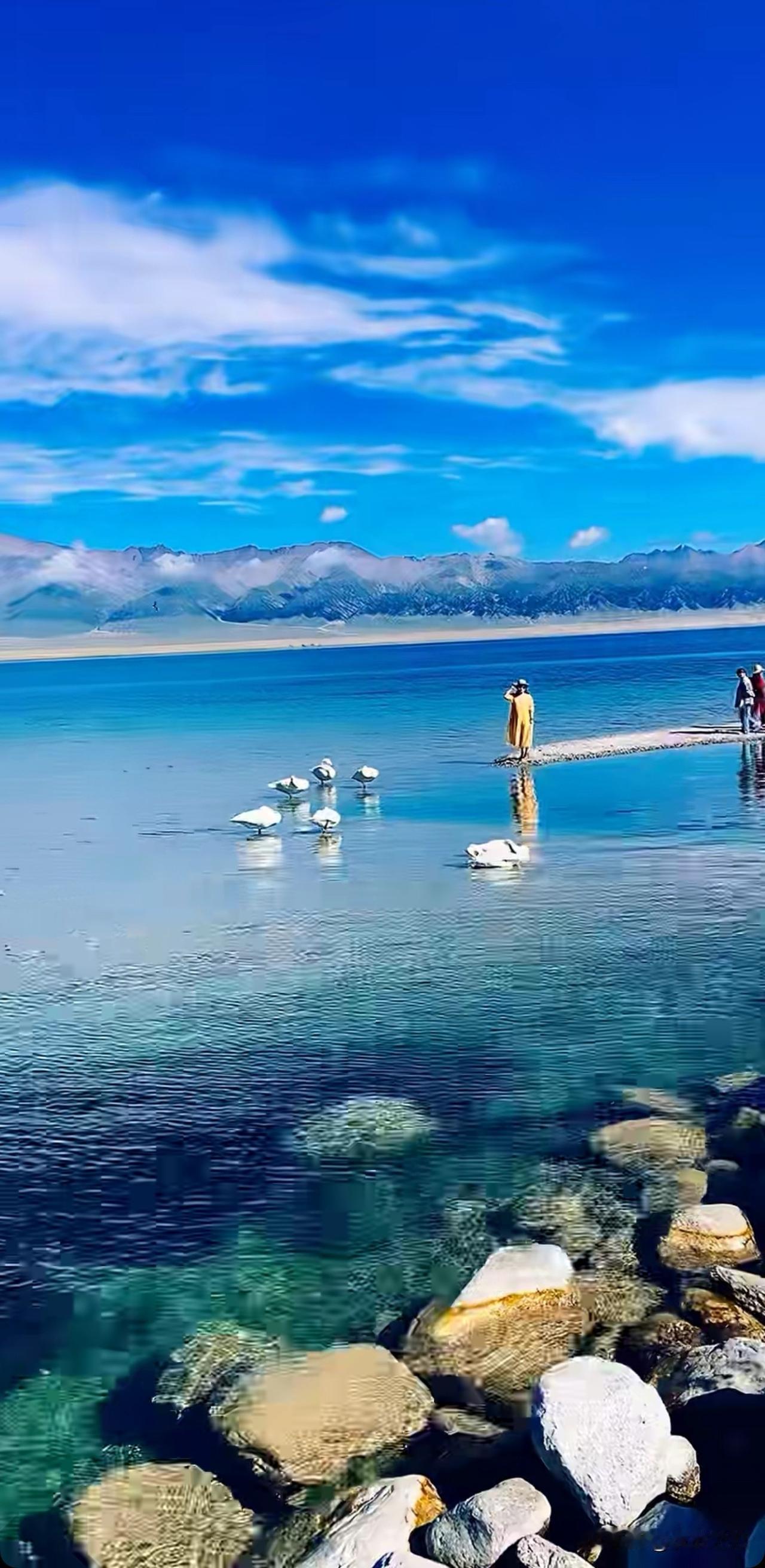 感谢各路户外旅游主播给大家带来全国各地不一样的风景！