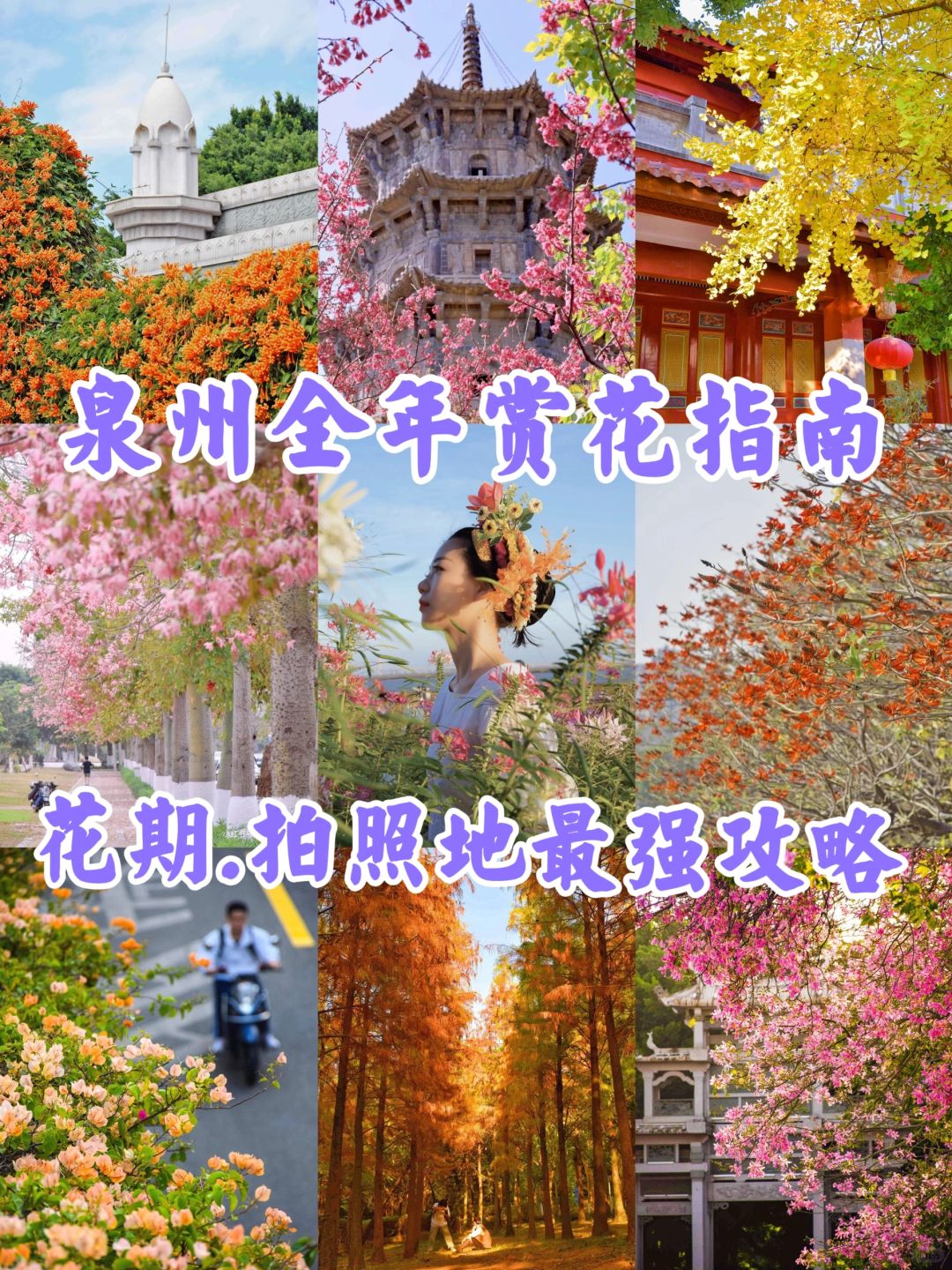 出息啦🌸我发的泉州全年赏花攻略上报纸了