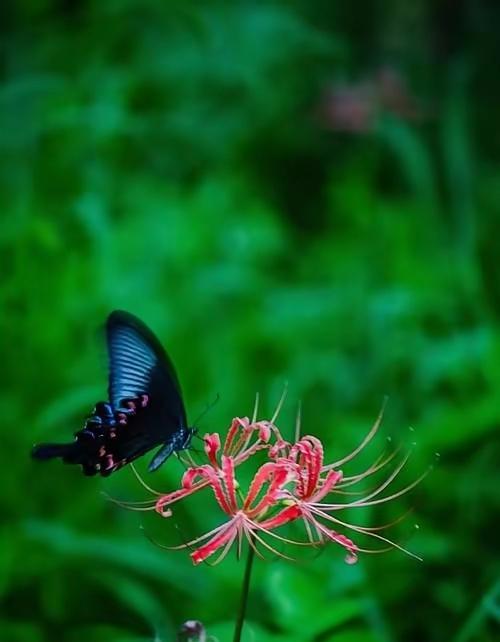 嫁什么样的人都是自己修来的

那些福报和灵性越高的人，
感情上反而越不顺利，
因