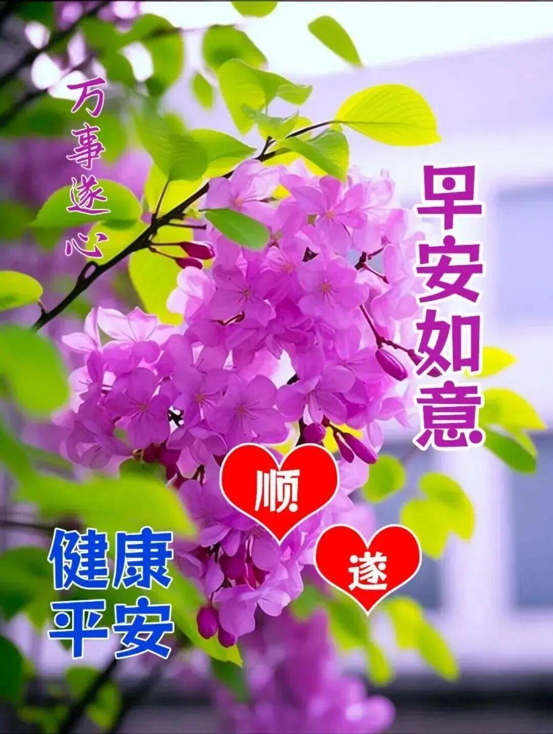 🌻🌹🎈天气炎热心不焦，放平心态最重要，抛开琐碎别烦恼，日常生活步步高！北方