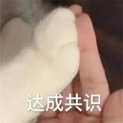 睡觉去了晚安💤 ​​​