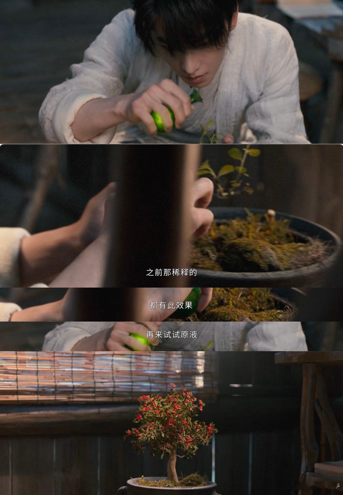 杨洋演我刚入职场 谁看韩立第一次独立接任务时的样子不激动啊！攥着任务单的手都在抖
