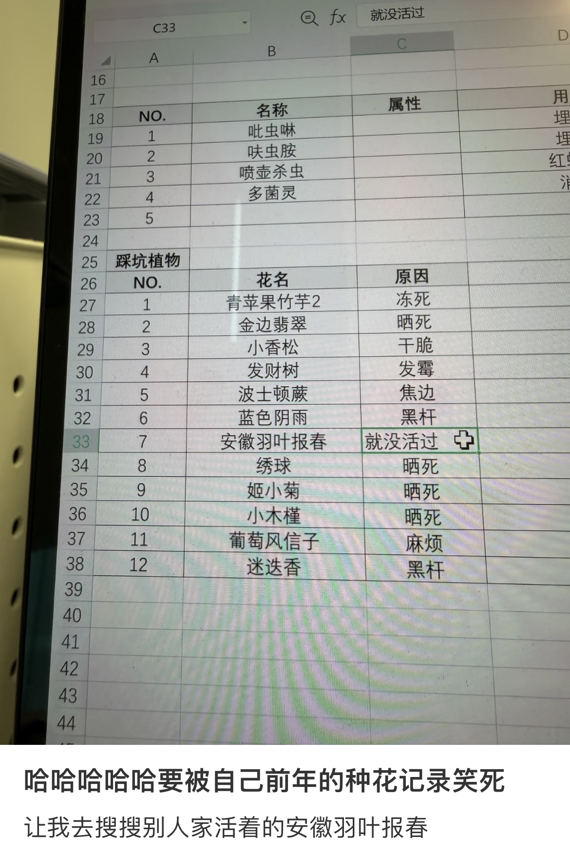 种花人有自己的死亡笔记 