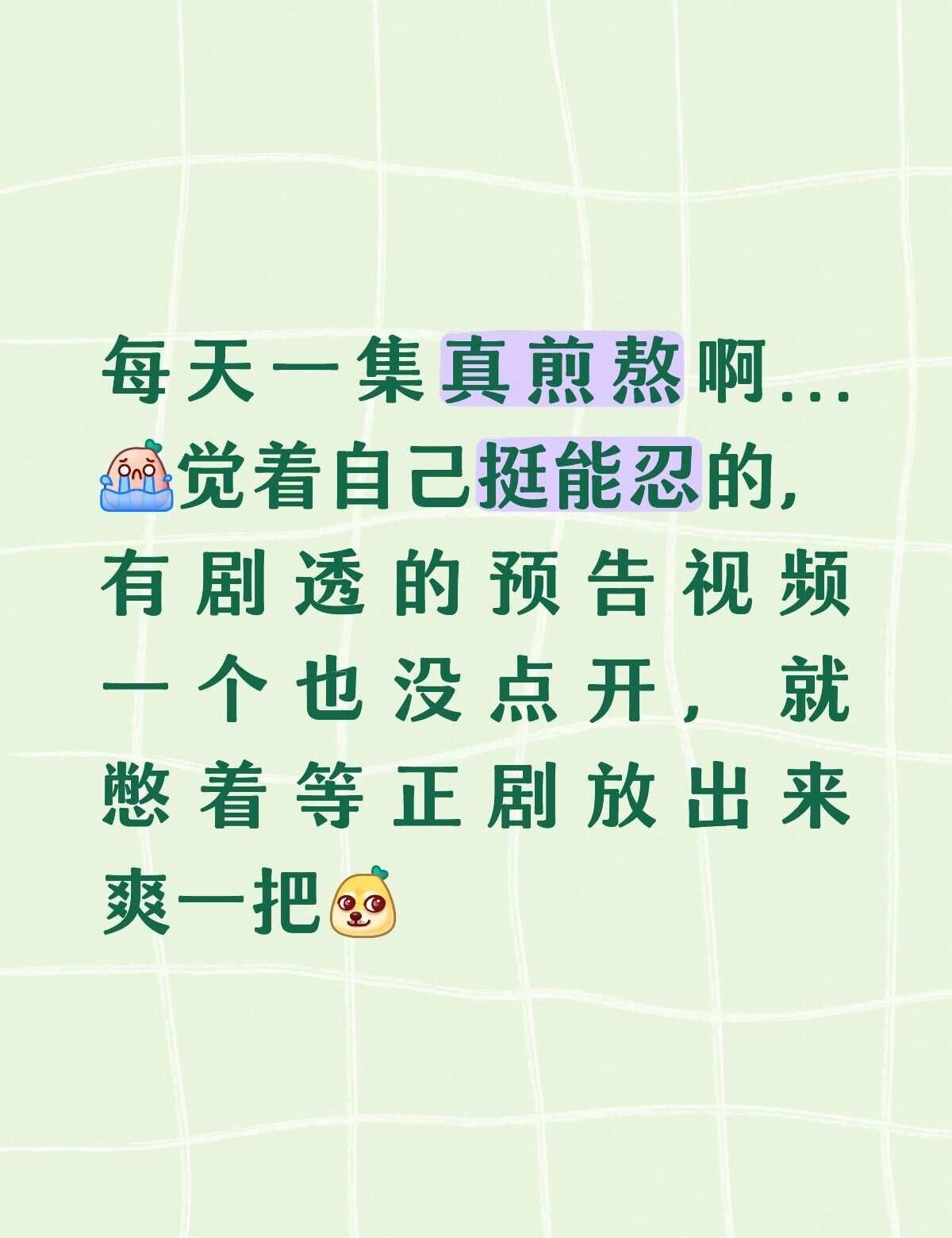 魏大勋 无可替代叶信之 好看的电视剧 追剧这件小事 拯救剧荒 安利一部假期好剧 