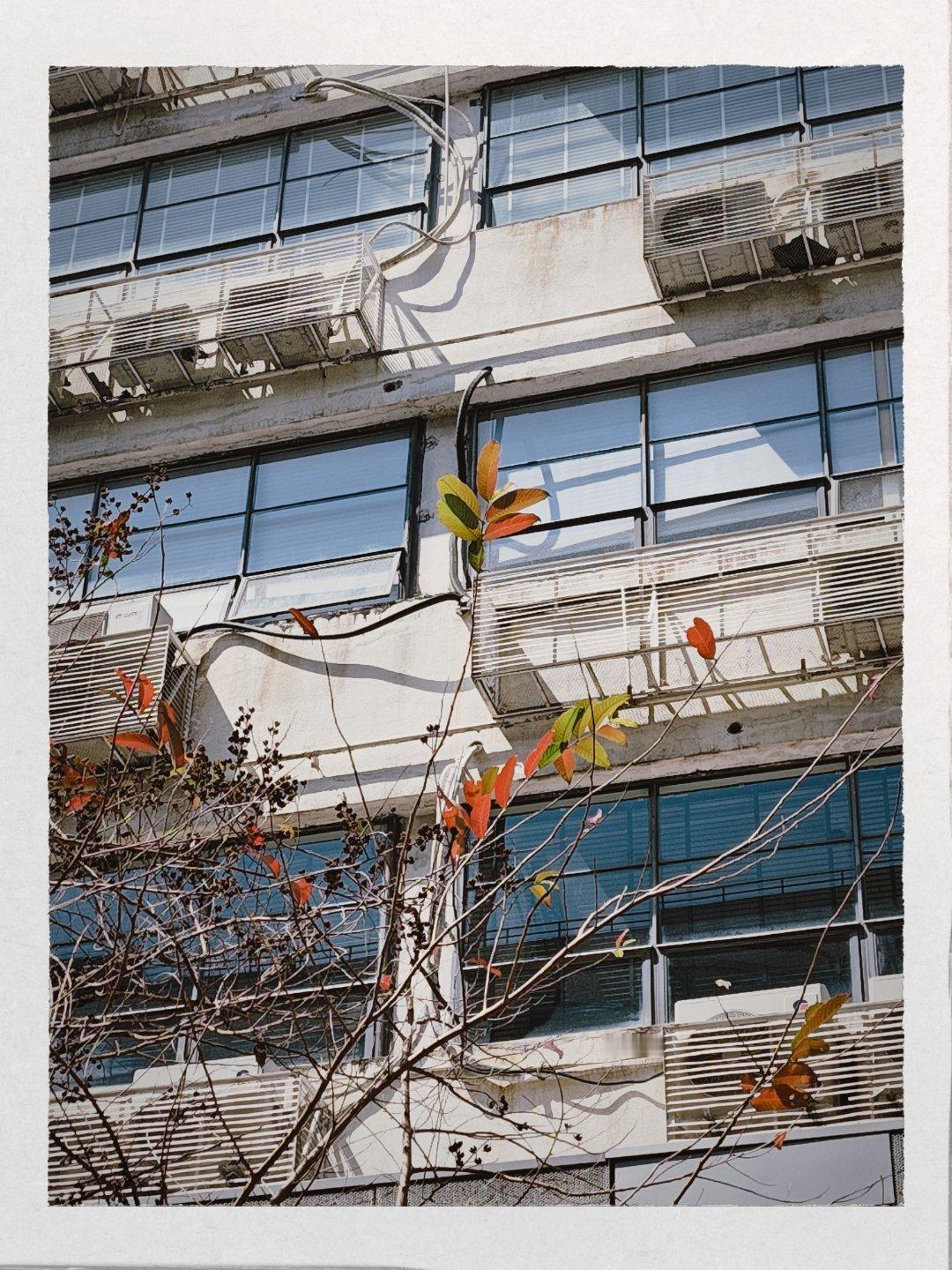 永辉公开喊话山姆这明显是两难的事情，山姆的独特性不就这样来的吗？如果失去这个独特