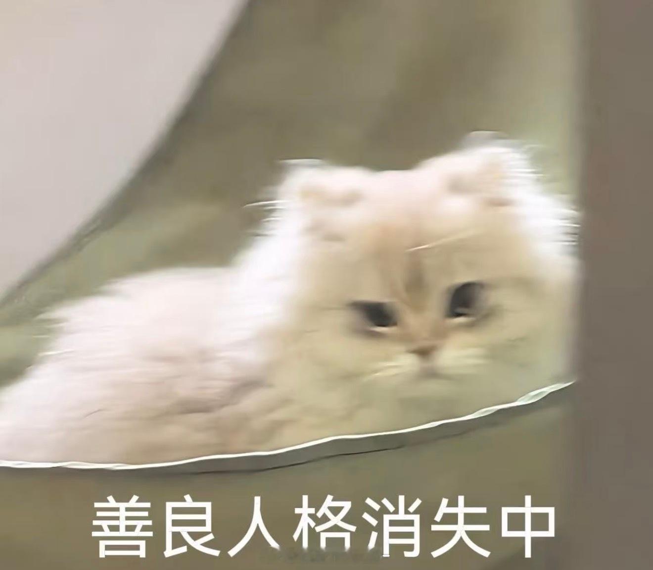 建议大家不要熬夜追蜜语记容易被气的睡不着网友的乳腺也是乳腺