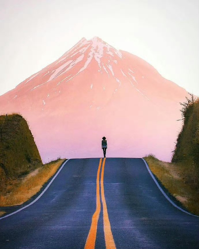 我们大多数的人终其一生，不过苟且二字。所谓风光，不过苟且有术；所谓坎坷，不过苟且