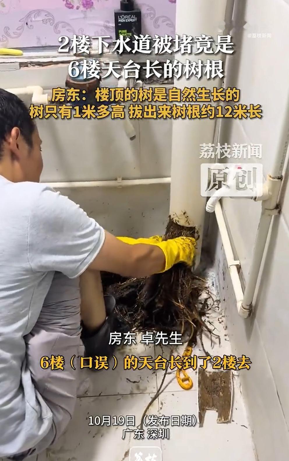 好家伙，看得有点儿头皮发麻，这么老长...