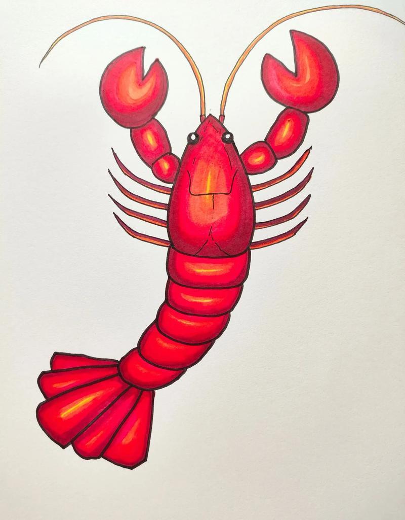 博君一肖 这不是一只龙虾🦞，这是啥？ 