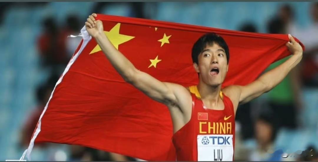 🗣️ 一、直接否认移民
刘翔在视频中明确表示："我一个爱国热血小青年移什么民？