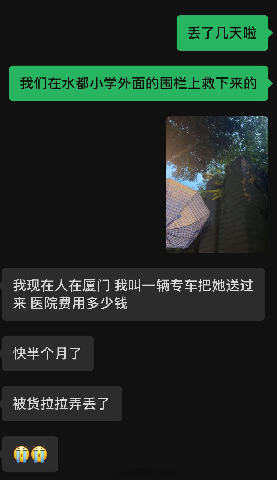 找到小猫主人了[泪] ​​​