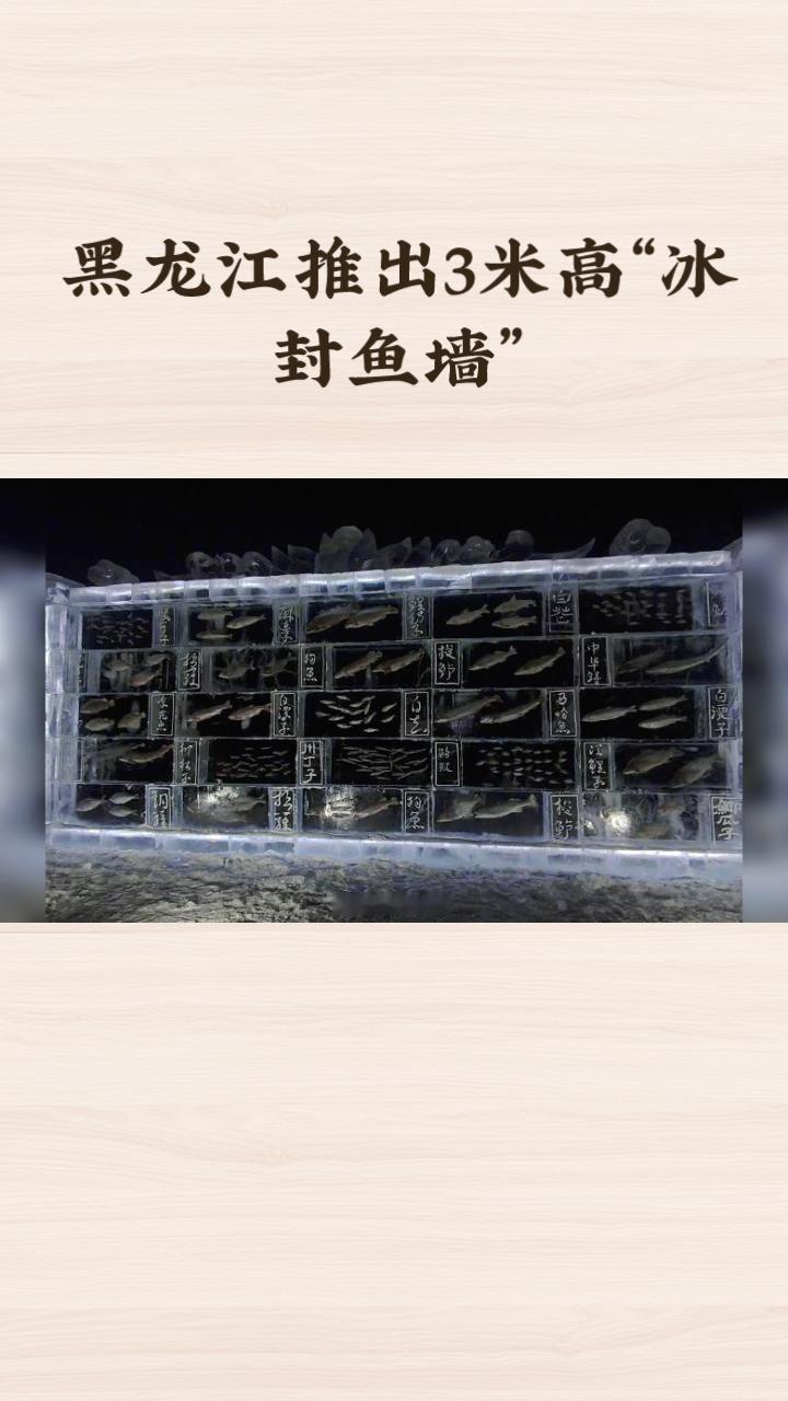 3米高的“冰封鱼墙”近日在黑龙江三江口景区惊艳亮相，20余种江鱼化身冰琥珀，引来