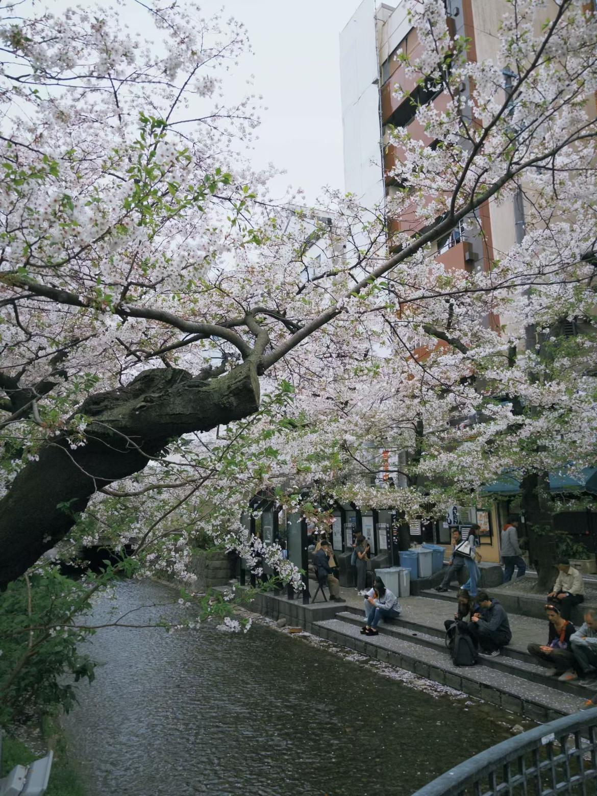 我的今日状态：😁轻松愉快
我这里的天气：☀️晴天