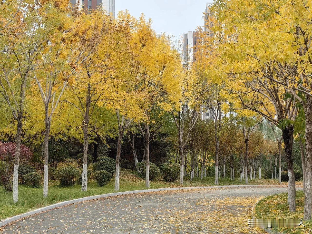 这应该是呼和浩特最高的公园。今天冒小雨第一次去北山公园，让人有点吃惊。

北山公