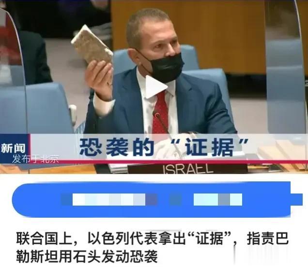 这得是多么大的讽刺！又讽刺了谁？全世界都特么是一群愚民吗？

拿砖头的是恐怖分子