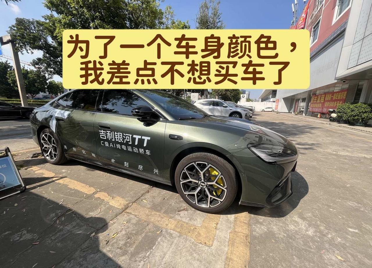 银河TT 买辆车而已，为什么全家都要替我做决
看中银河TT的橄榄绿，本来是一件很