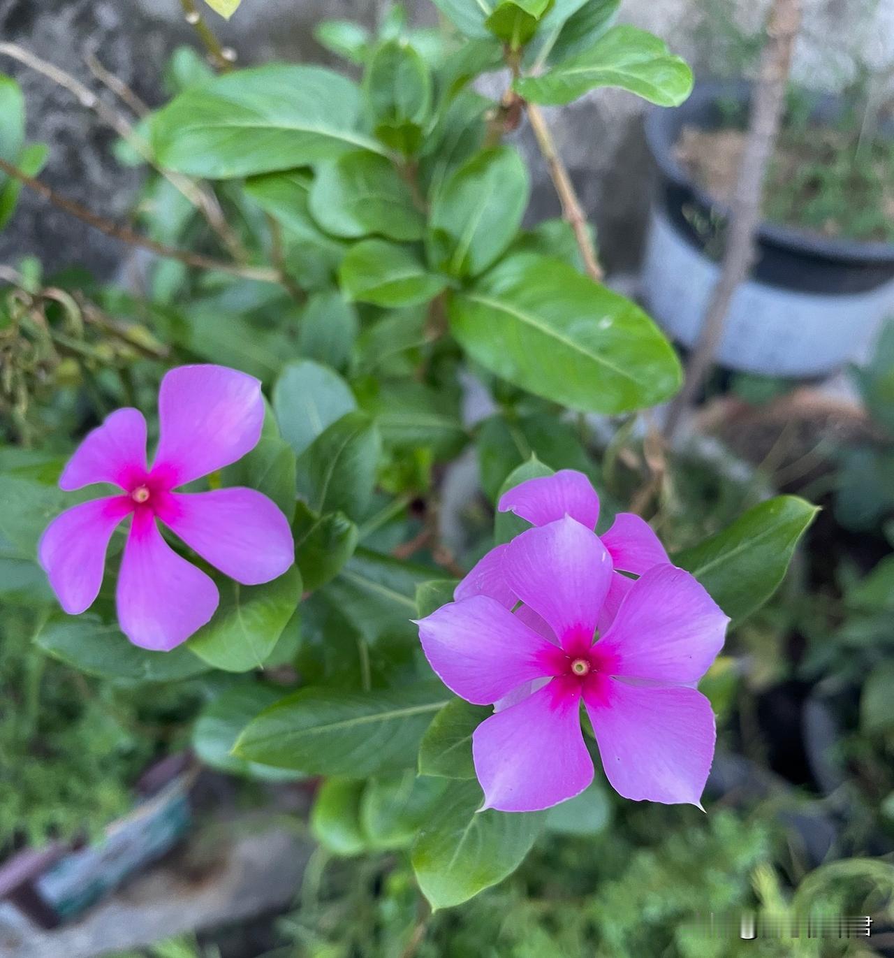 因为不让女友穿裙子，把女友所有的裙子都扔了，导致分手，这种男人也太可怕了！一男子