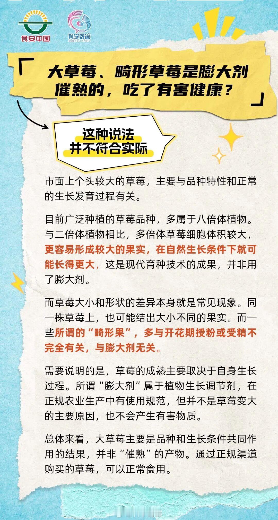 【大草莓，畸形草莓是膨大剂催熟的，吃了有害健康？】并不符合实际。市面上个头较大的