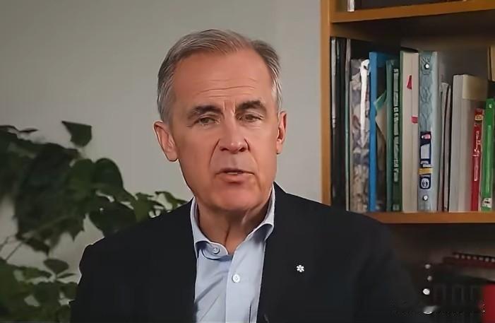 加拿大总理卡尼公布了名为“强大加拿大”的全面振兴计划，旨在通过催化万亿级投资、整