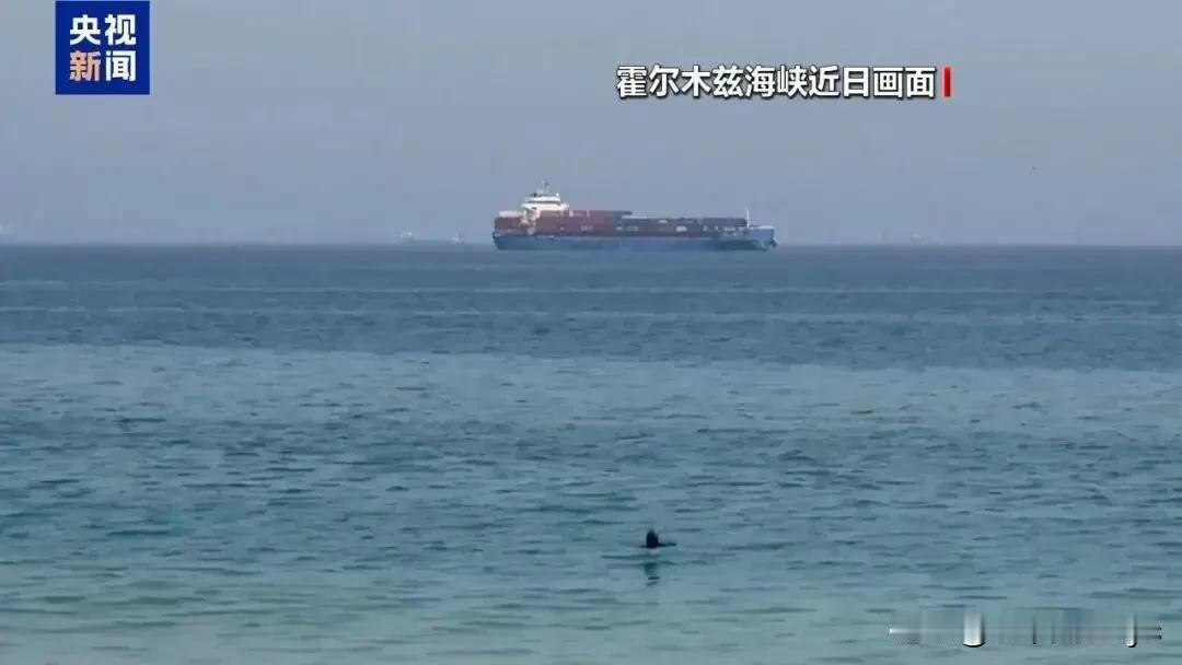 路透社（Reuters）当地时间8月7日华盛顿报道，援引匿名美国官员对外表态称，