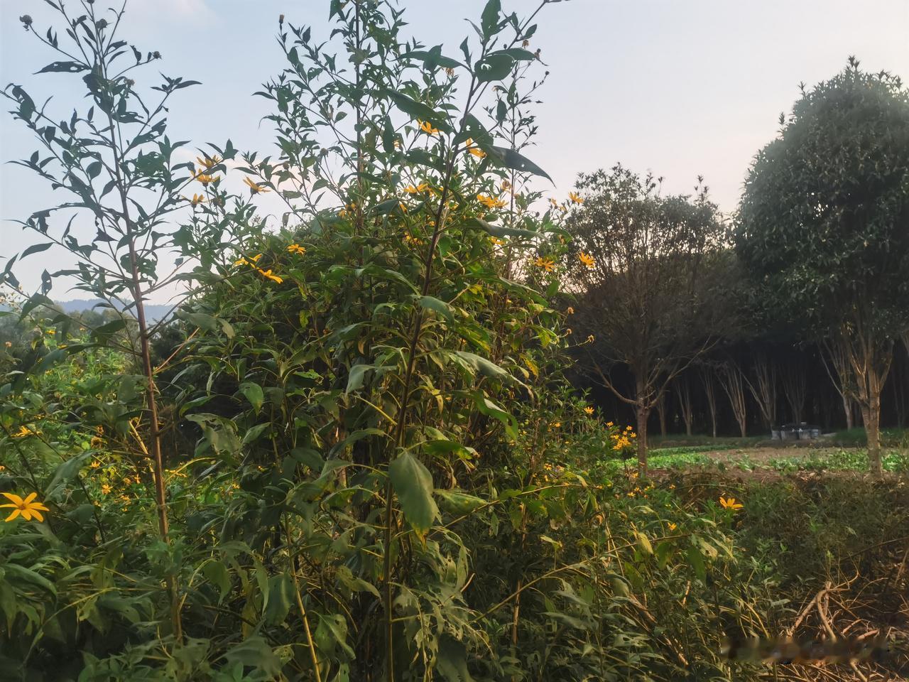 你的贵人在哪里？
智者乐水，仁者乐山。
你若是喜欢水，你的贵人，极有可能，非常有