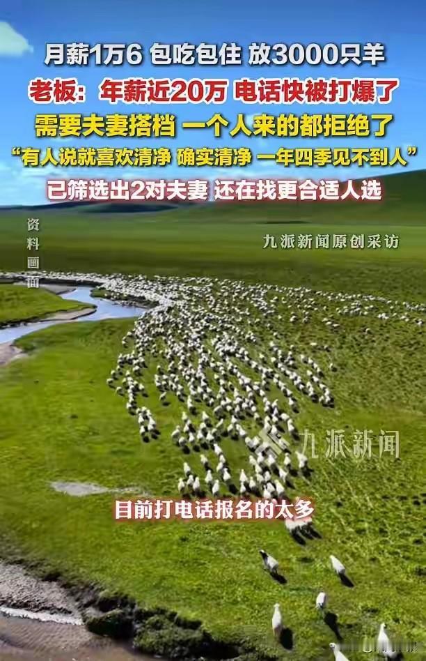 内蒙古这位老板说了
招放羊工只要夫妻搭档
一个人的完全不考虑
月工资1.6万一年