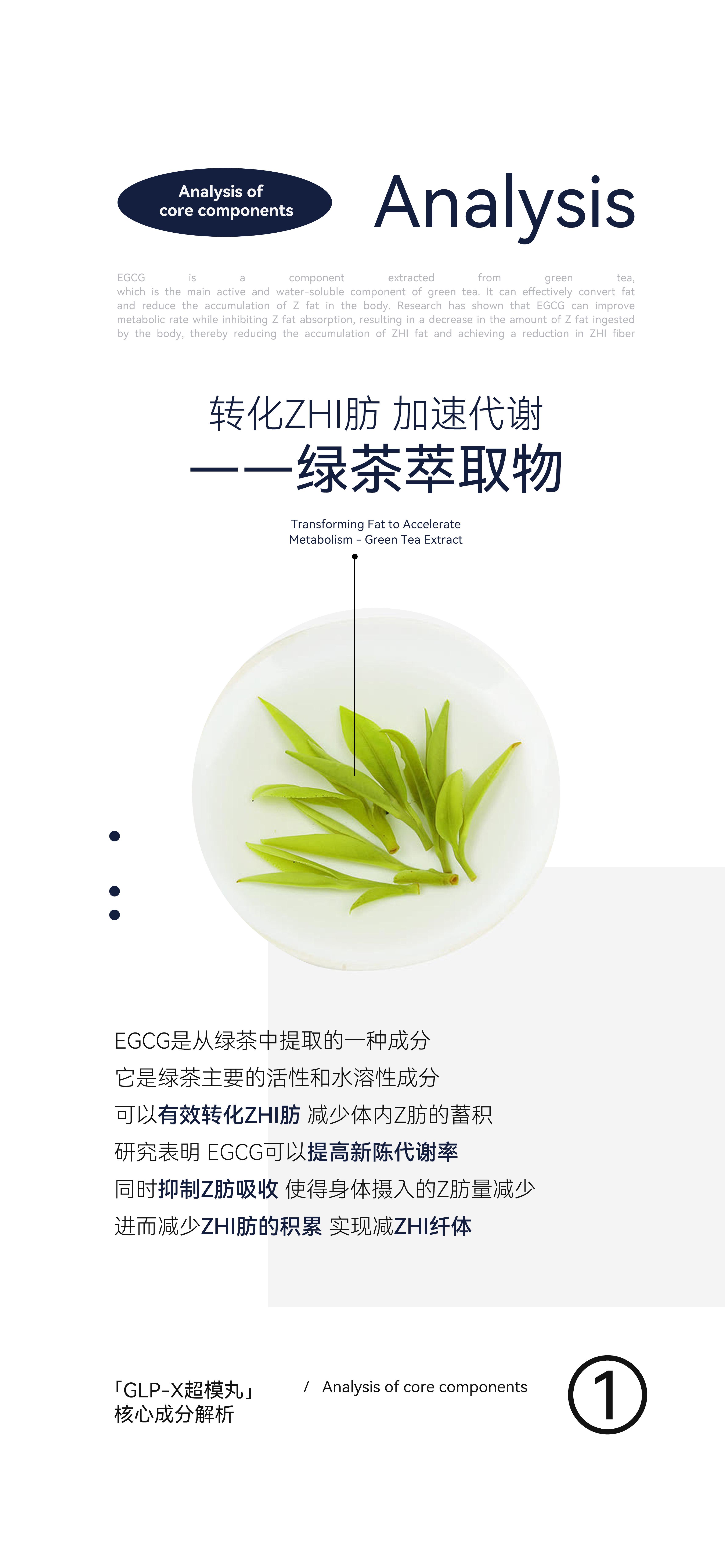 除了𝗚𝗟𝗣-𝟭我们还有六重复配六重植物萃取的成分和专利成分复配让燃燃效果