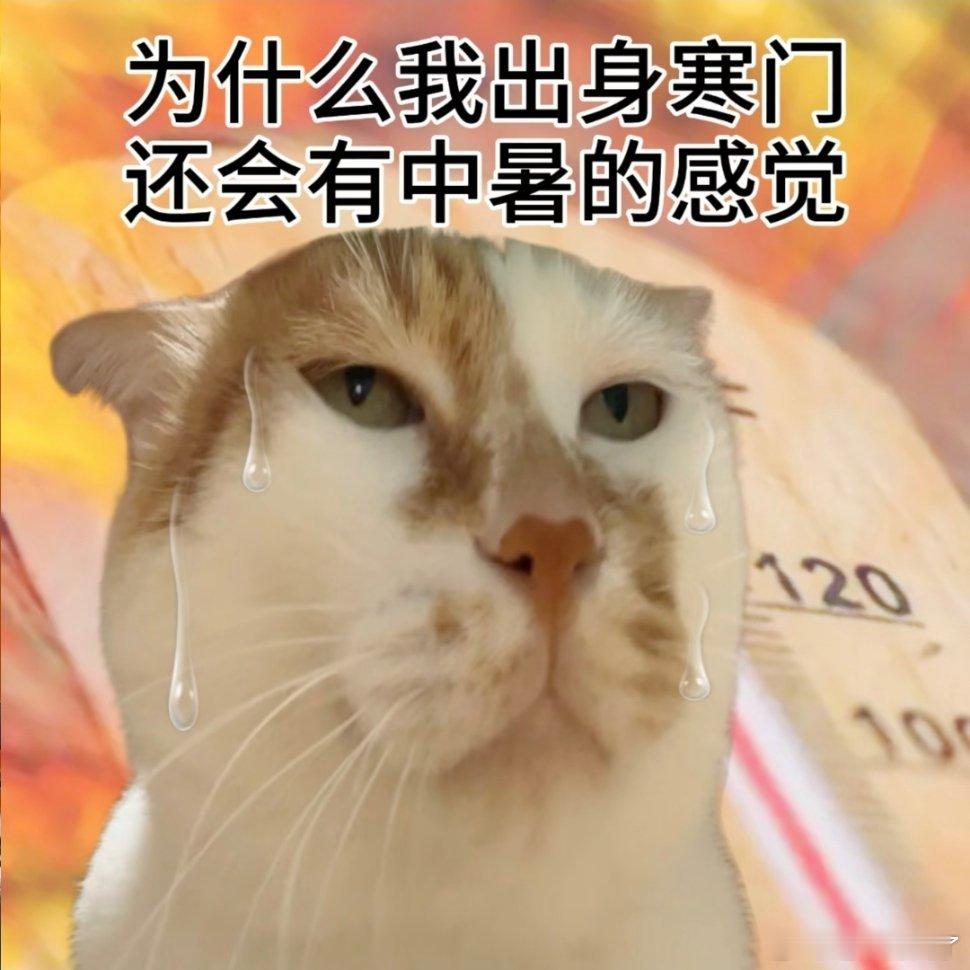 抽象表情包。 