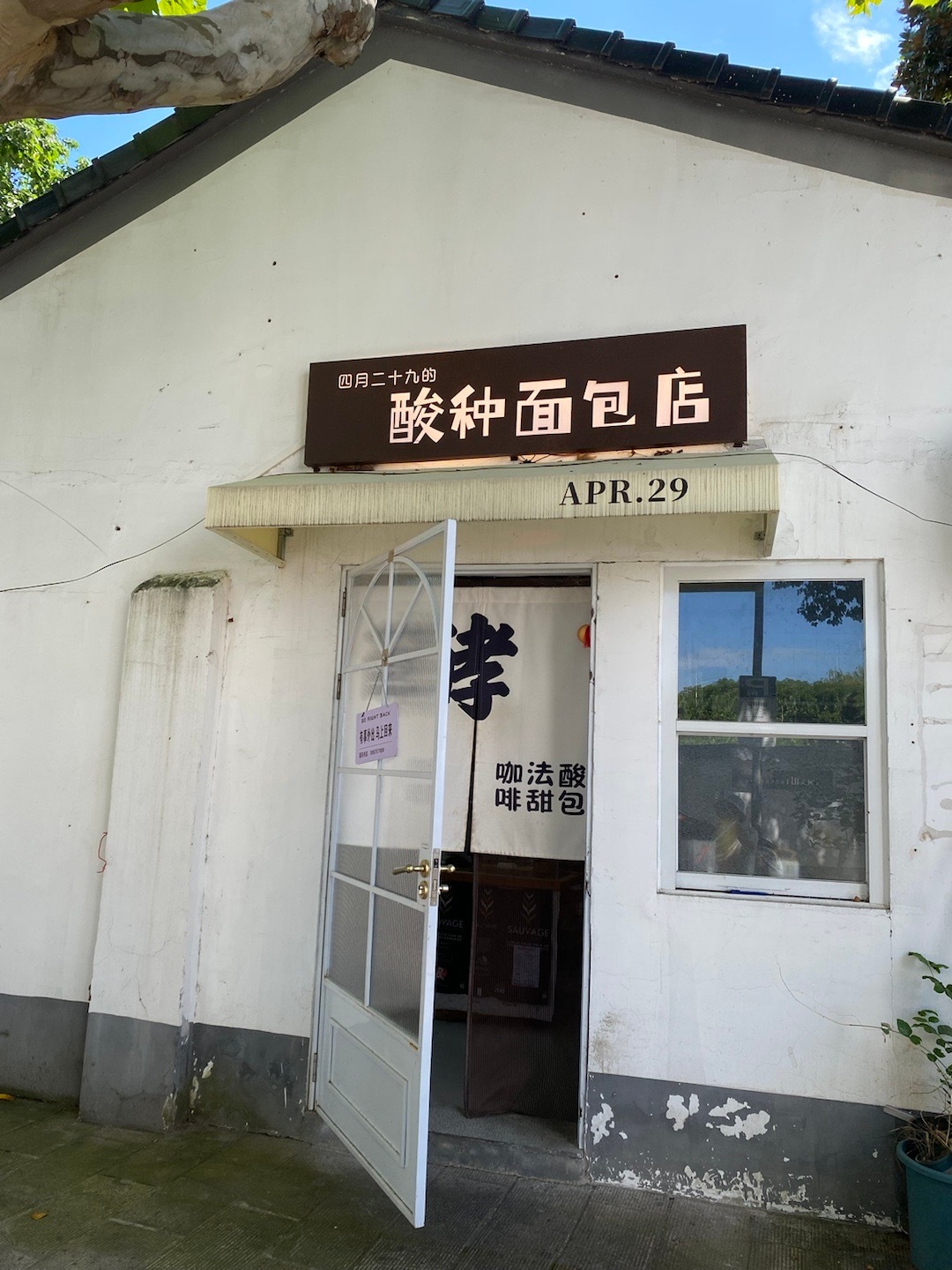今日早餐，昨天在绍兴买的姜黄南瓜籽酸面包，据说这家店开了快二十年了，老板是学美术