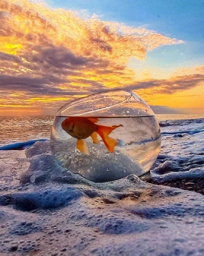 永远爱海上的夕阳🍊🌊 ​​​