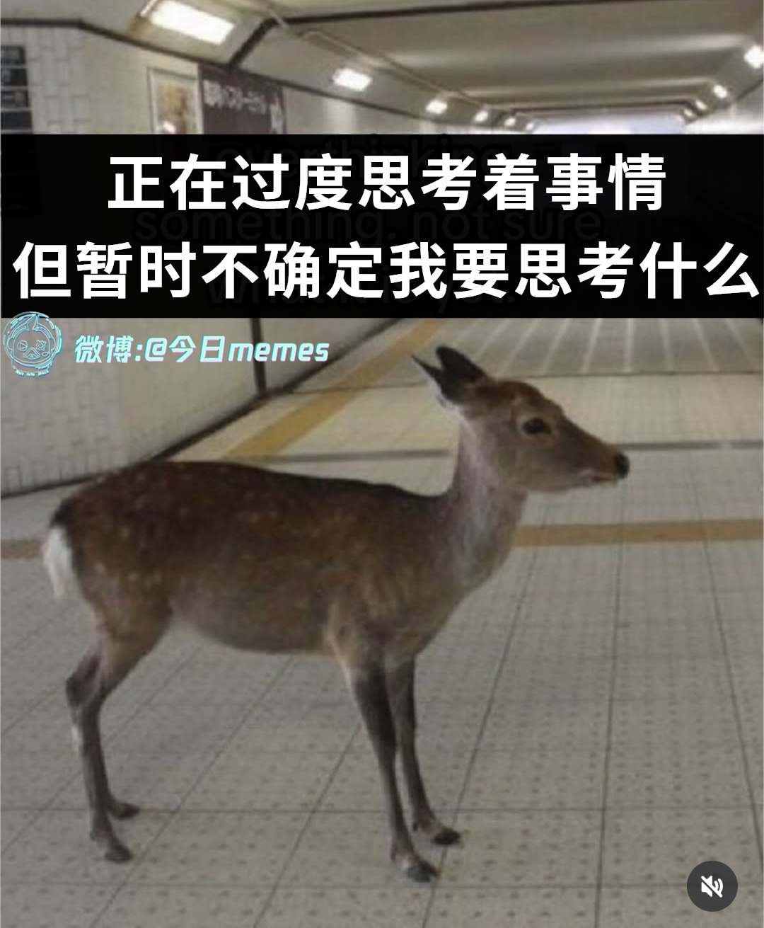 我已准备（9gag）今日meme[超话]今日memes ​​​