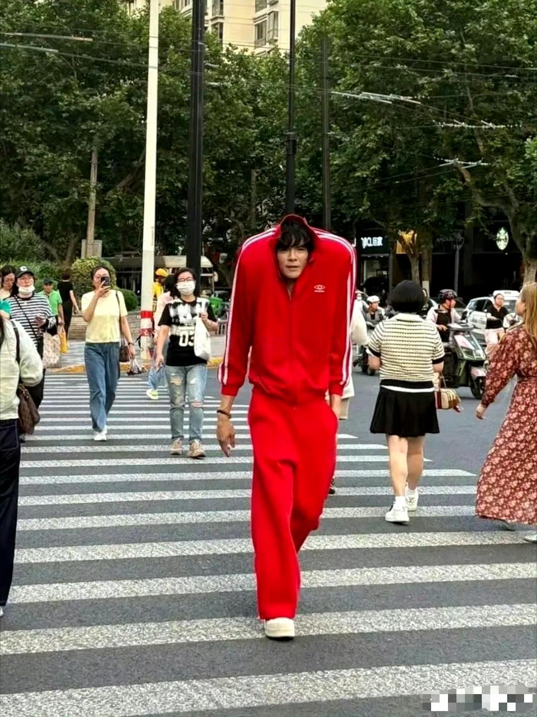 向佐请告诉给我们这不是你本人，毕竟不缺钱的你需要这么拼么？
为了钱各种丑化自己，