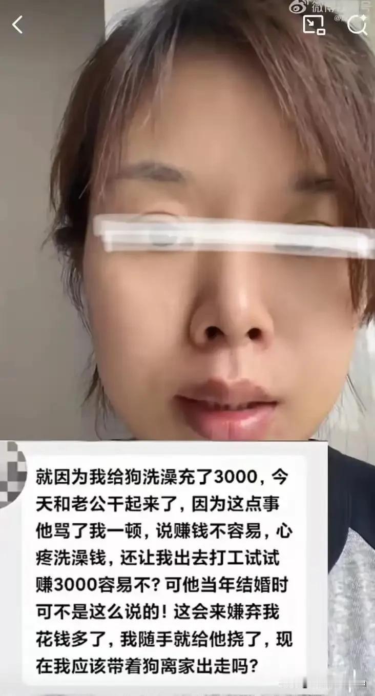 “你给狗充3000块洗澡卡？你对我都没这么大方！”

丈夫摔门而入，脸涨得通红，