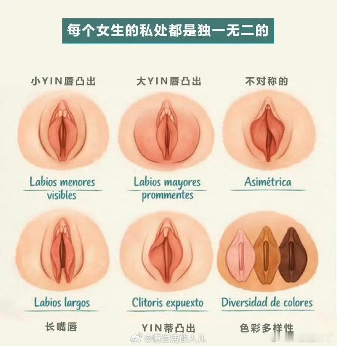 世界上有几亿种，这只是典型的几种而已