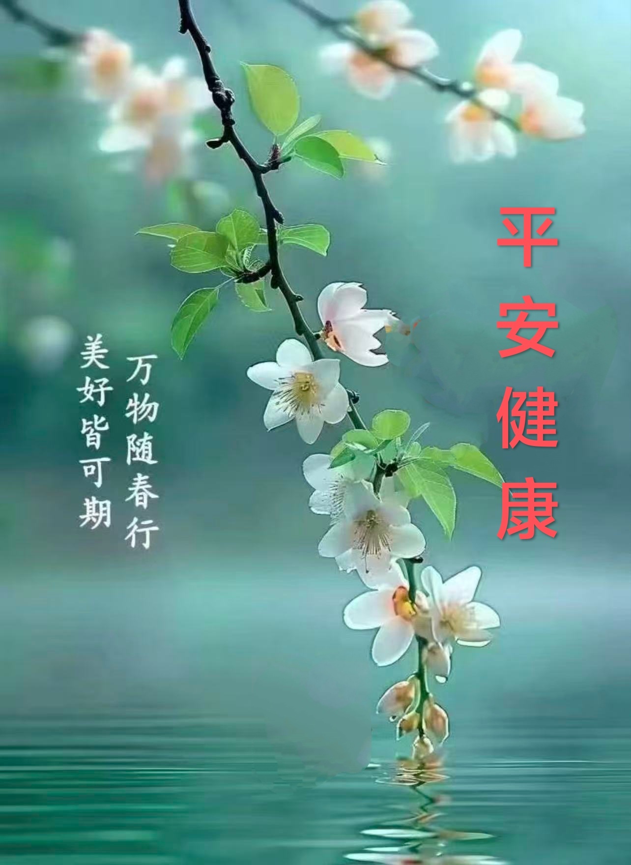 【健康养生】1、大暑已至，暑湿渐重，养生宜遵循“春夏养阳”原则，切忌贪凉饮冷伤脾