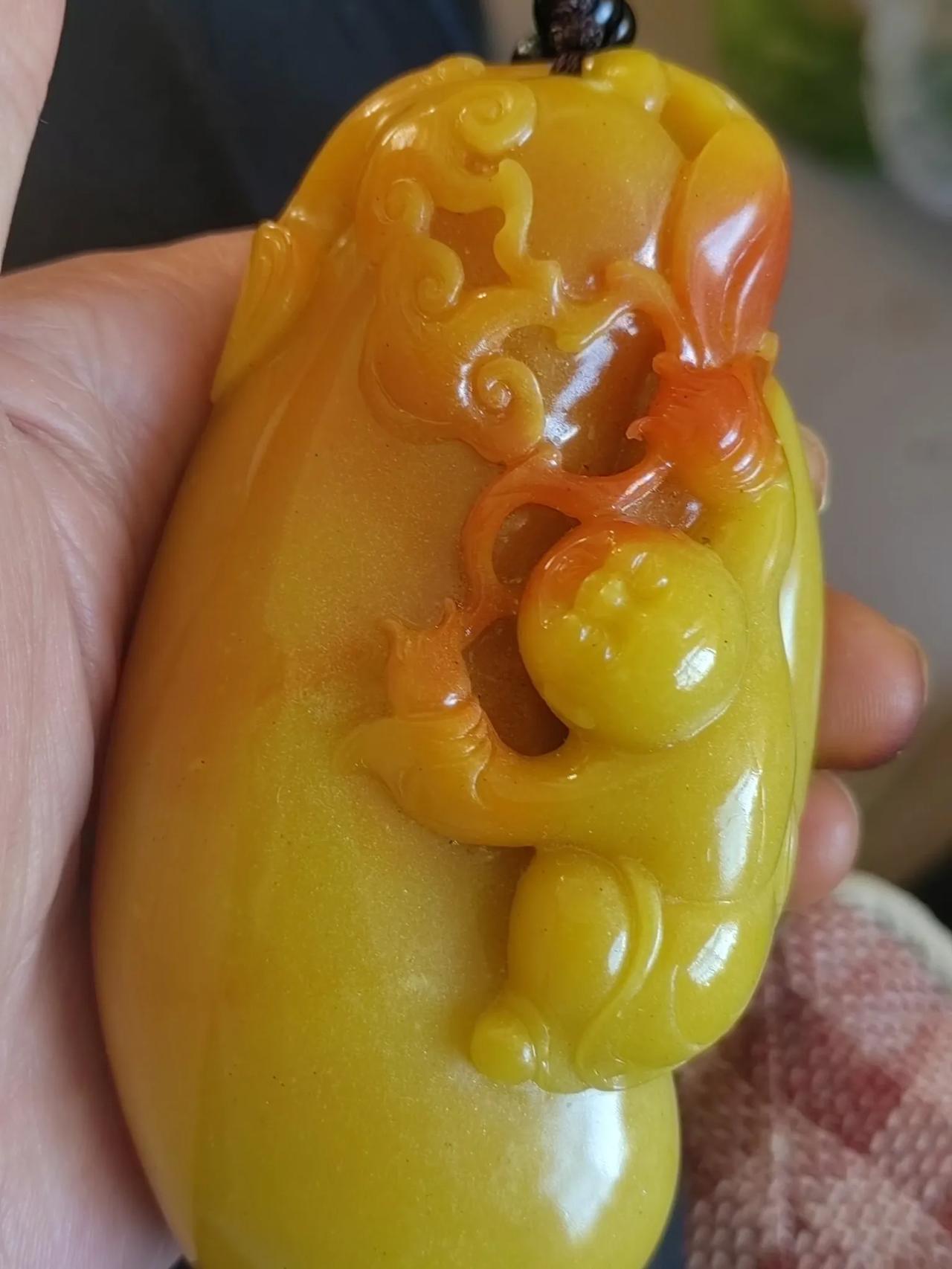 老了就应该象它一样！作个懒猴！（树懒）