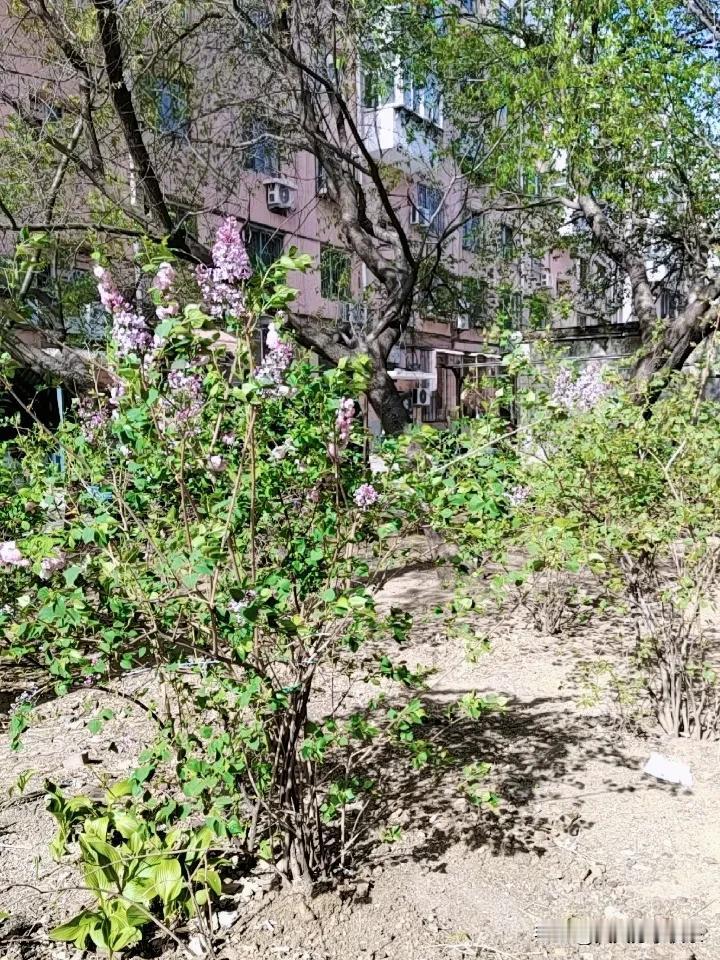 晒出你的本地生活