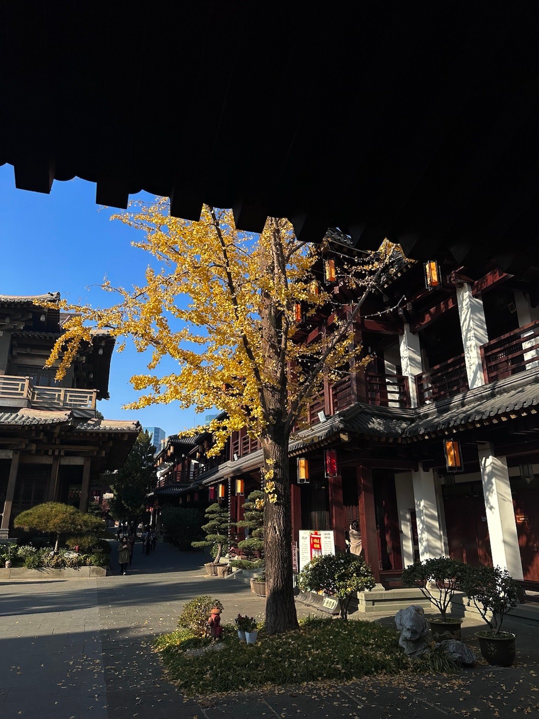 夜阑人静处 响起了.. 