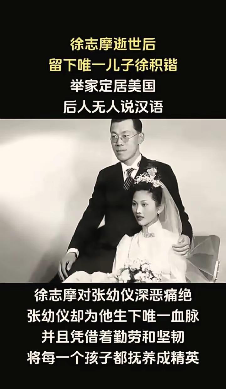 徐志摩不爱张幼仪不是一样可以和她结婚生孩子吗？他不是爱林徽因吗？怎么后面又喜欢上