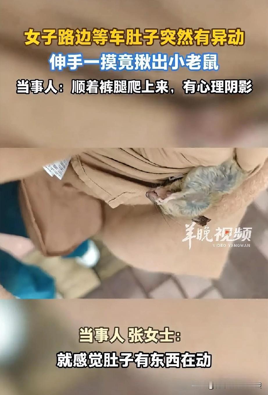 想想不禁让人心里打冷颤，女子在路边等车时，突然就感觉肚子上有东西在动，翻开外边衣