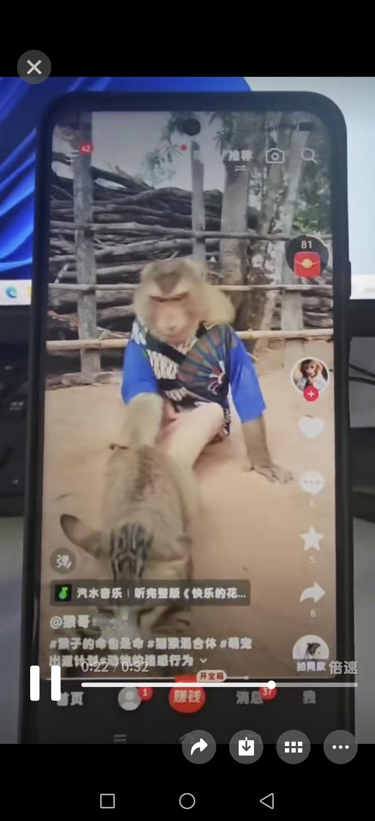 这些图片并非自然的“萌宠互动”，而是存在明显的动物虐待与胁迫问题，需要从多个维度