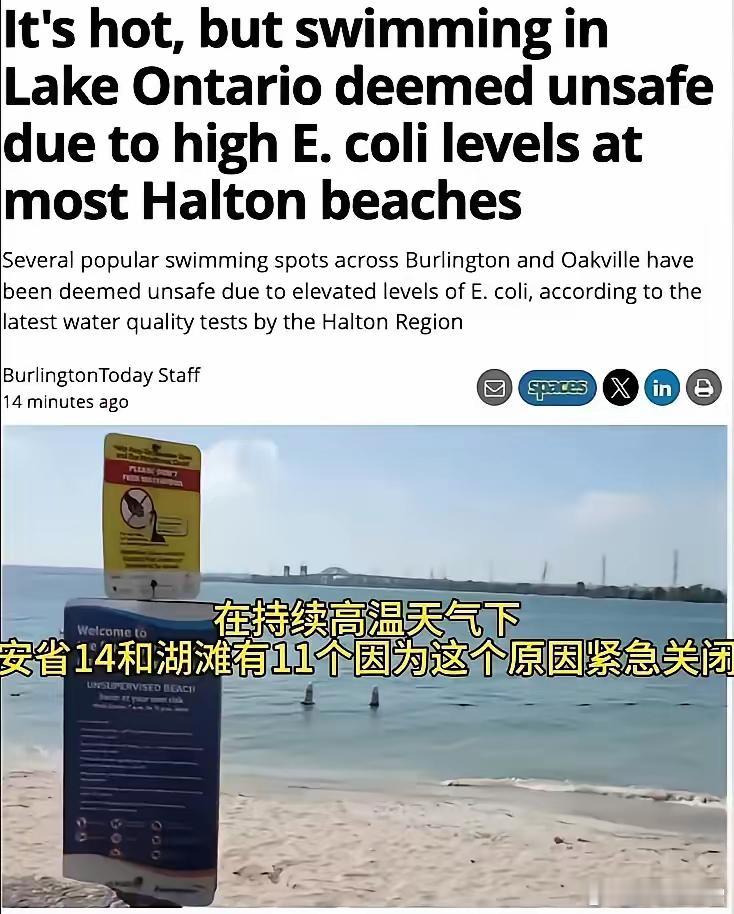 “如果你们不尊重印度的传统习惯，你们可以离开加拿大”。加拿大人被印度某官员的发言