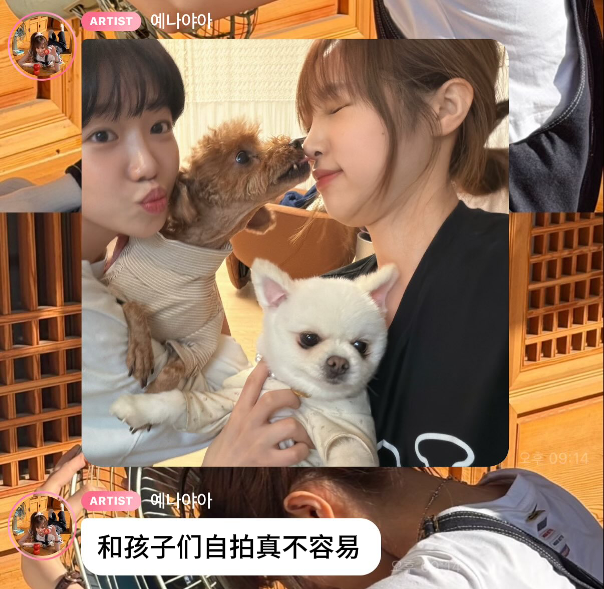 YENA & YURI 🐶💞柔理说她不能回釜山，她以为自己会一个人待在家里，