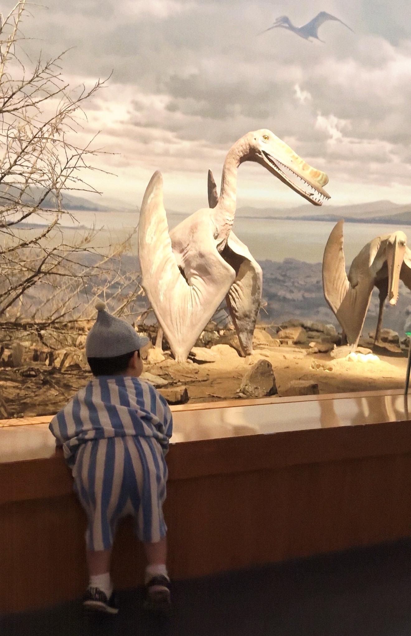 快快乐乐健健康康的长大吧❤️