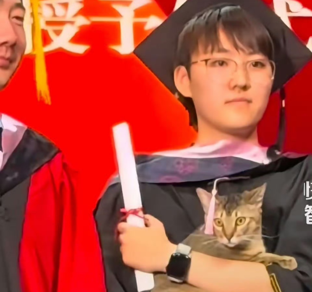 毕业典礼上女生抱猫咪上台拨穗虽然我也养猫，但这种行为多少有些哗众取宠了吧？ ​​