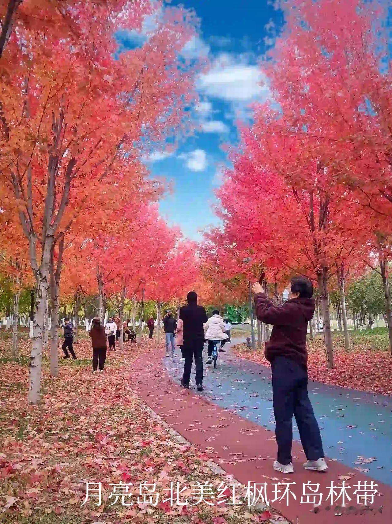 这就是长春伊通河市区段，
经过几代长春人，近40年的精心雕琢。在河两岸形成了近3