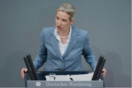 据德国媒体报道，选择党联合主席魏德尔近日在联邦议院当众向默茨政府的税制开火，她算