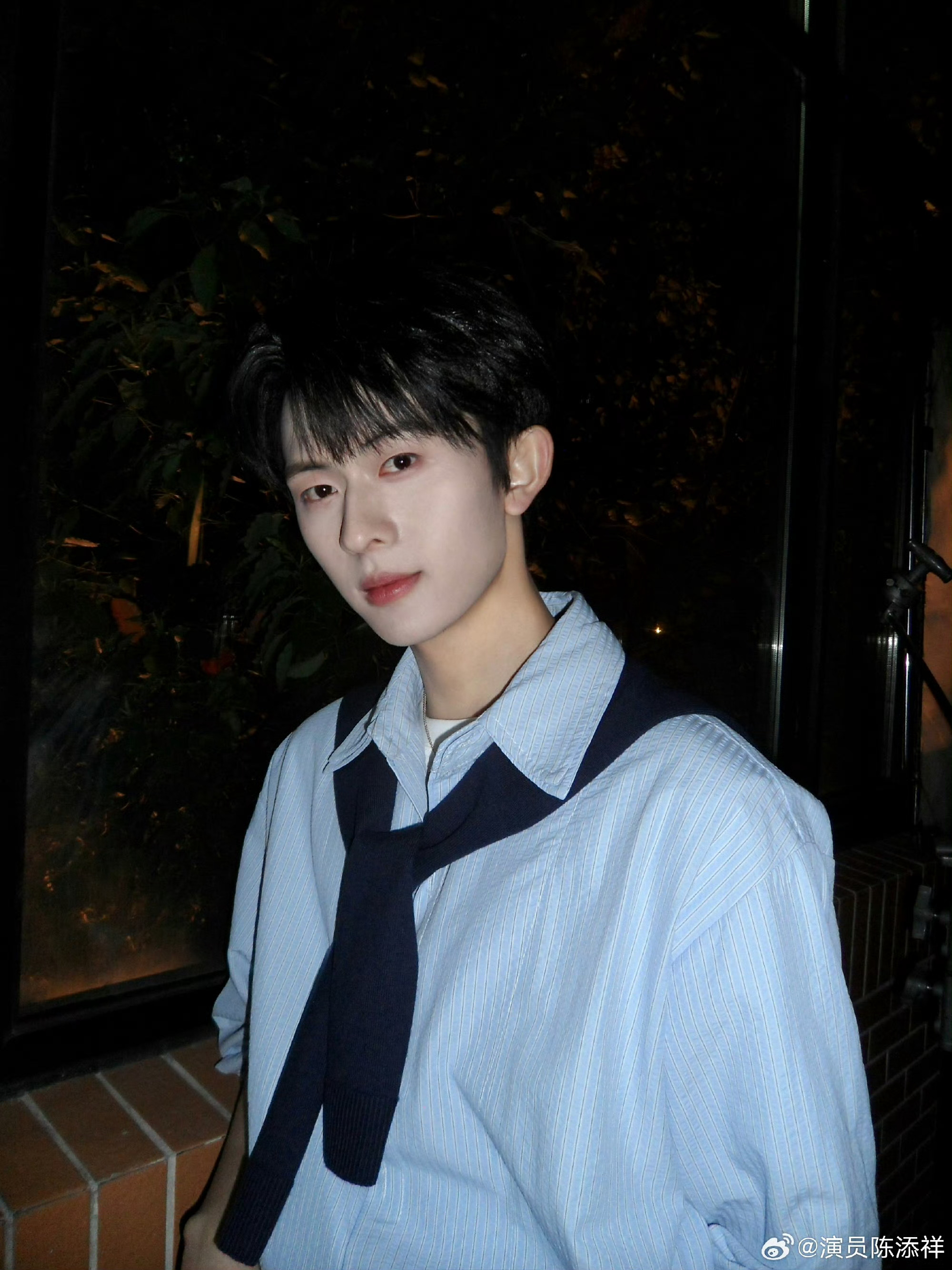 陈添祥 🍊陈添祥30天安利计划Day 17 用一种天气和动物来形容添添他像初秋