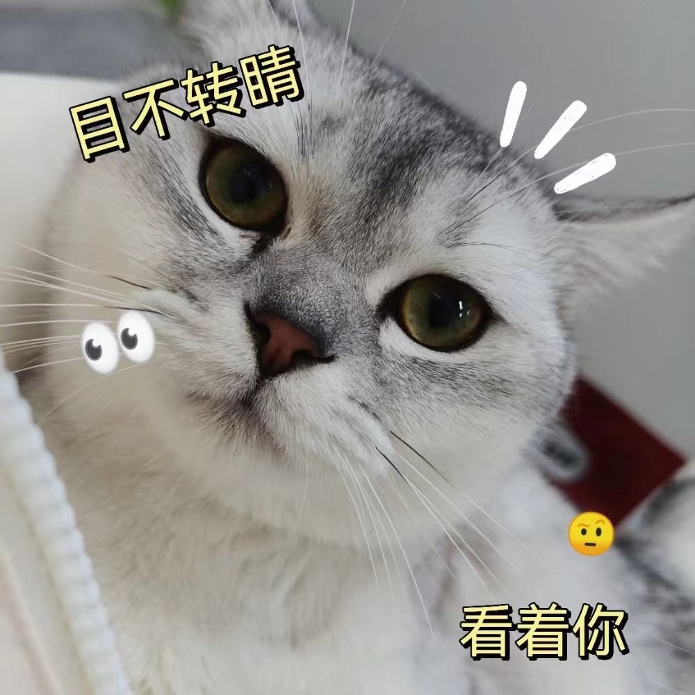 颜值即正义，对小猫咪来说就是真理啊！想让自家猫猫更漂酿的家人们可以看过来啦，一招