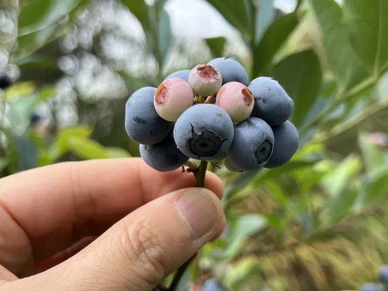 任何人都是拿捏不了你的，除非你自己愿意。不管别人怎么说你、骂你、诋毁你，你都不入